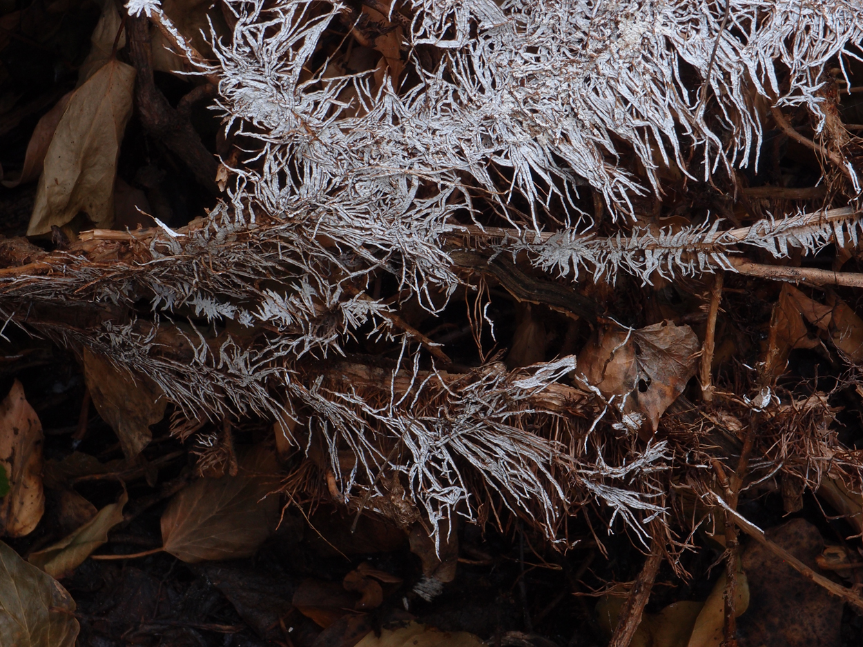 2019-07-21 foto-grafisches Statement I